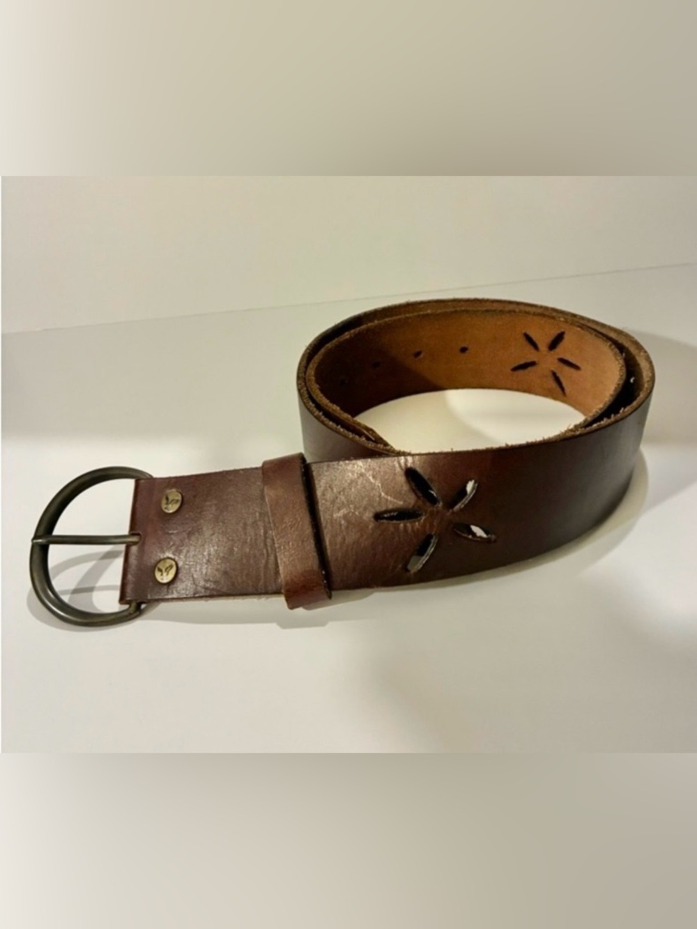 AE - Sand Dollar Cutout Belt
